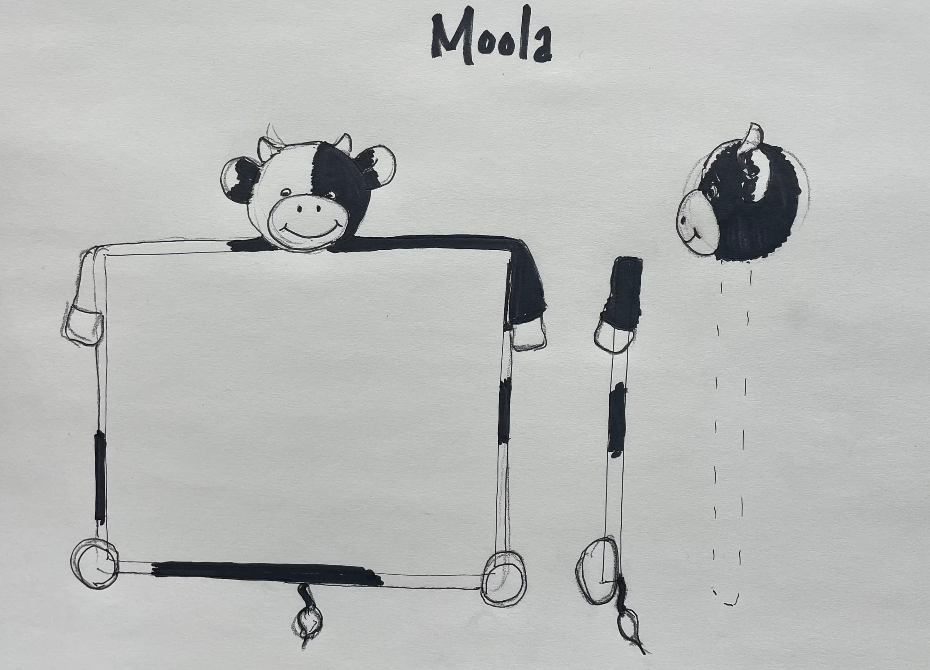 Moola