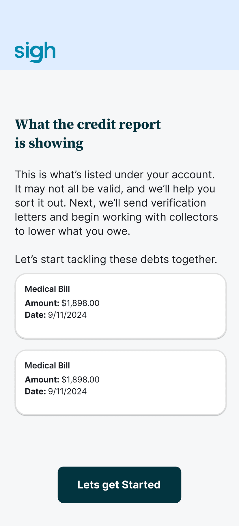 Comprehensive Debt Overview