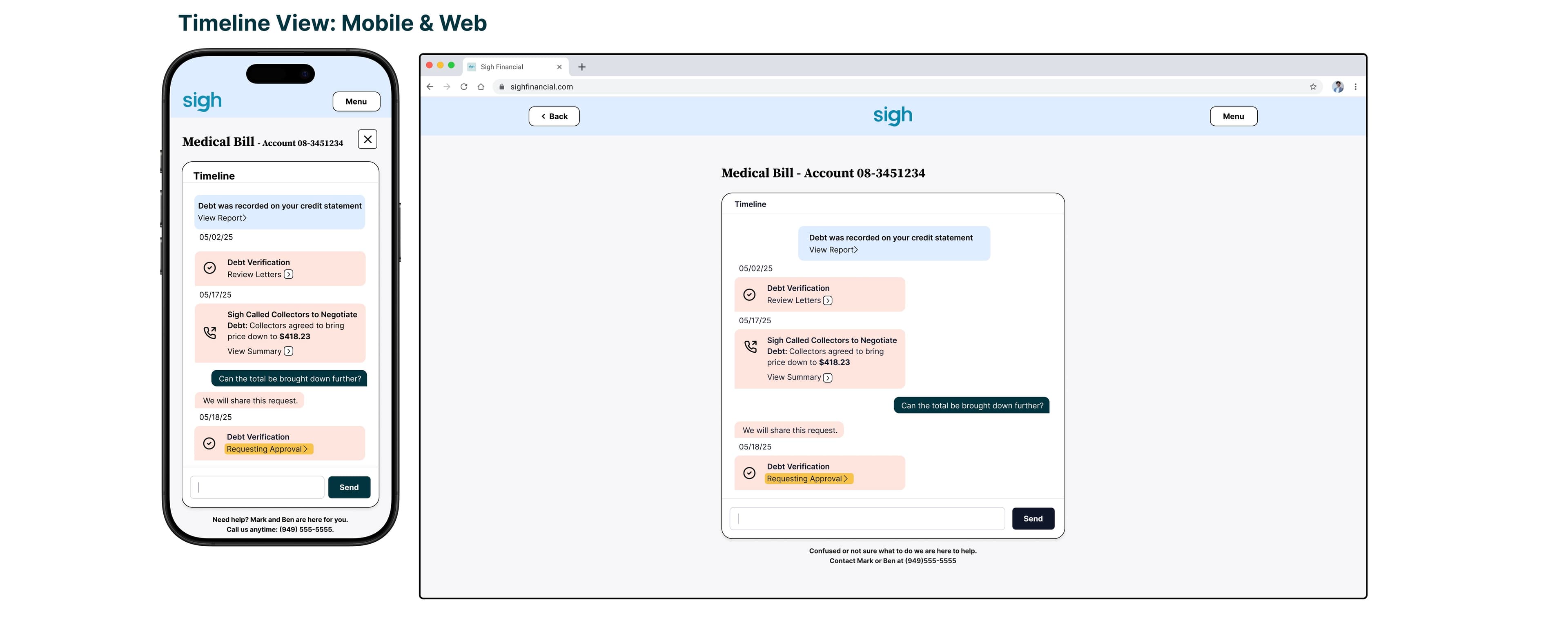 Credit Report View